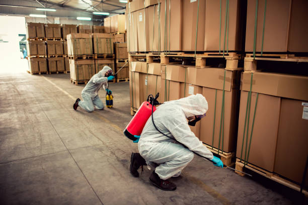 Best Exterminator Services  in Bethany, MO
