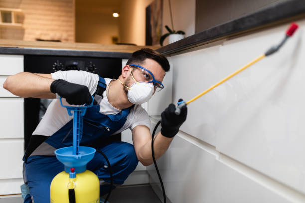 Best Best Pest Control Companies  in Bethany, MO