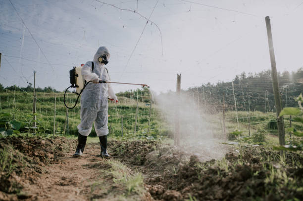 Best Local Pest Control Services  in Bethany, MO
