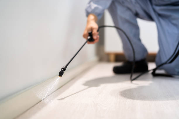 Professional Pest Control in Bethany, MO